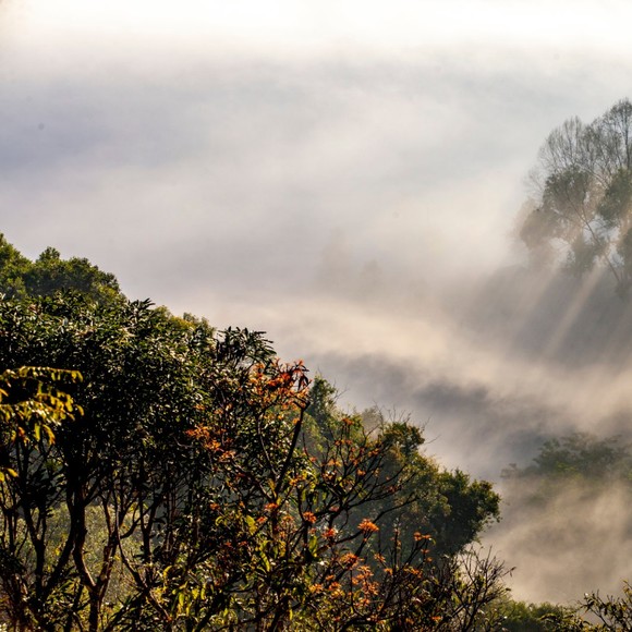 Meet your Posher, Juanita - Picture 1 of 1